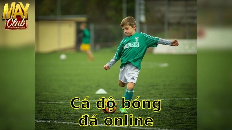 Cá Độ Bóng Đá Online – Trải Nghiệm Cá Cược Thú Vị 2025