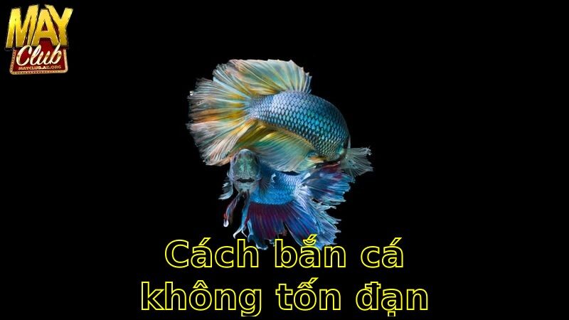 Cách Bắn Cá Không Tốn Đạn – Chơi Mà Không Lo Lắng 2025