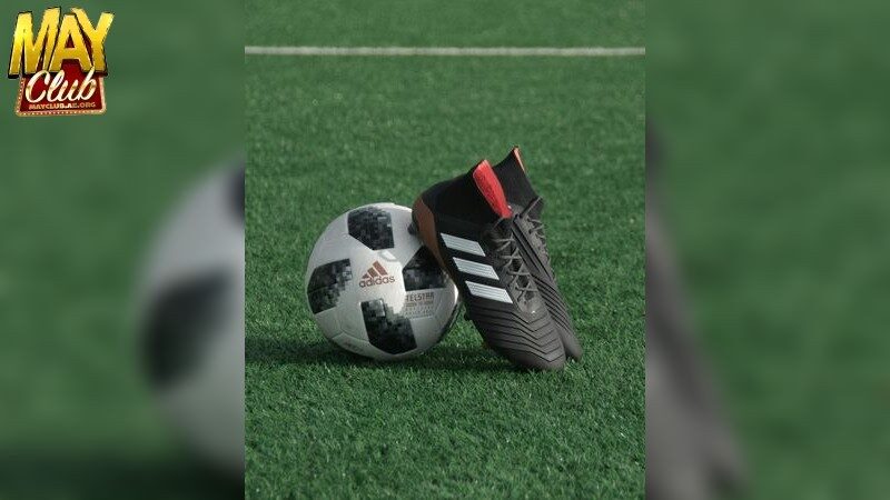 Cách phân tích tỷ lệ kèo trong cá cược