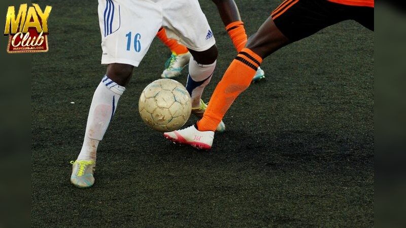 Cách Theo Dõi Bảng Xếp Hạng Bóng Đá