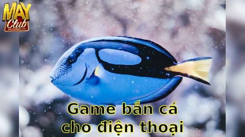 Game Bắn Cá Cho Điện Thoại – Tương Thích Mọi Thiết Bị 2025