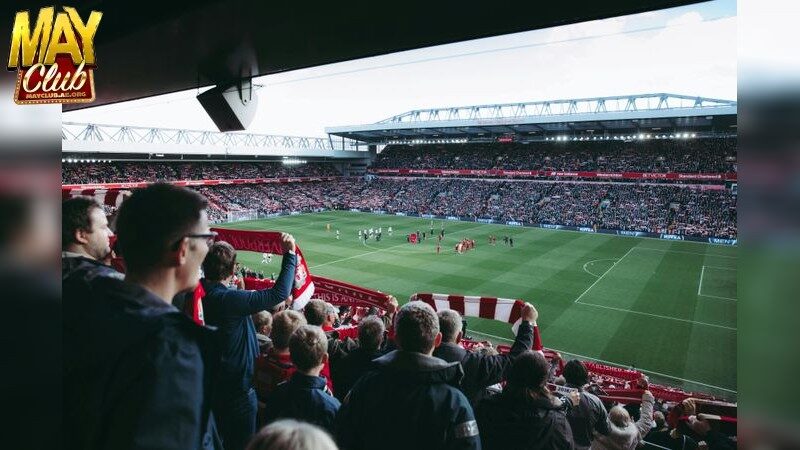 Lợi Ích Từ Những Dự Đoán Bóng Đá Chuẩn Xác