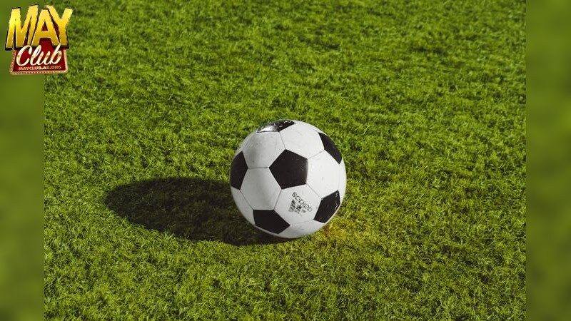 Tại sao tỷ lệ kèo trực tuyến quan trọng?