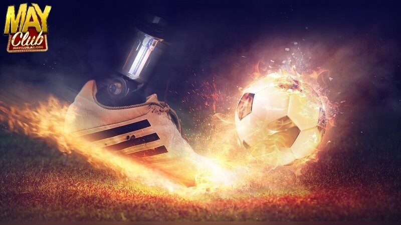 Tầm Quan Trọng Của Bảng xếp hạng bóng đá mới nhất